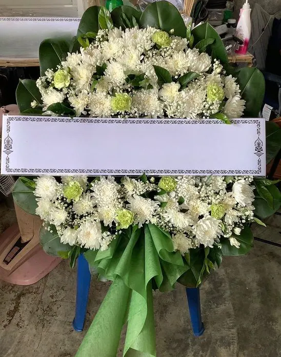 Product 485