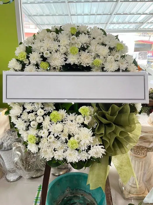 Product 1100