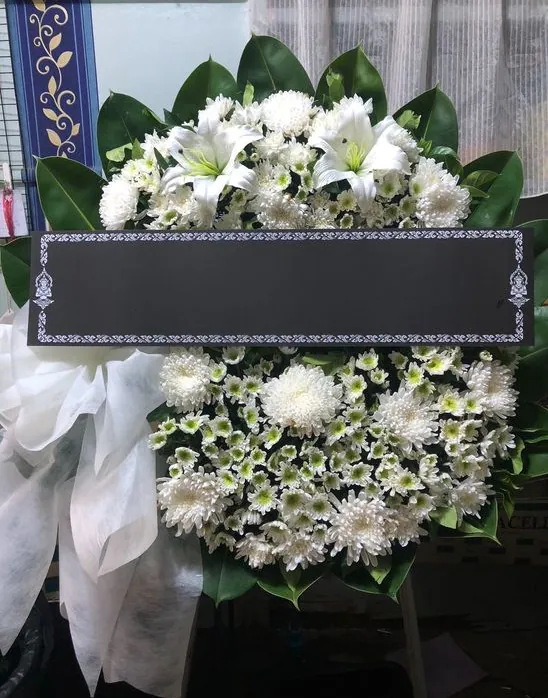 Product 491