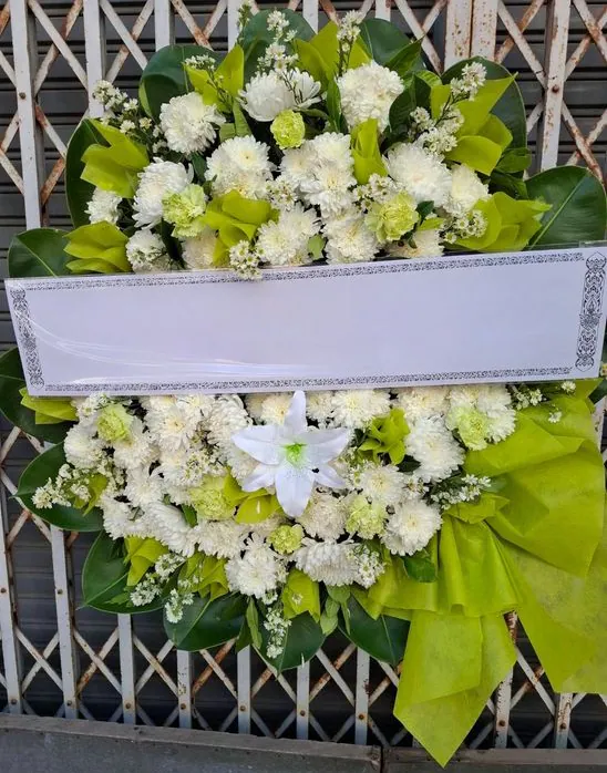 Product 1149