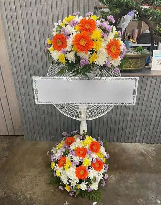Product 448