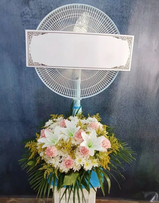 Product 1048