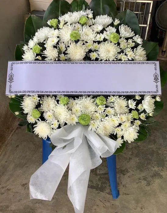 Product 482
