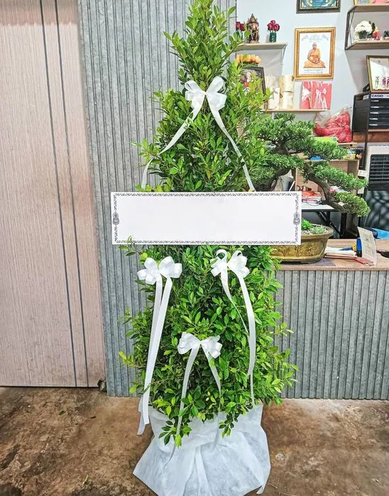 Product 447