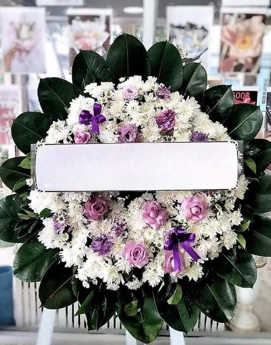 Product 495