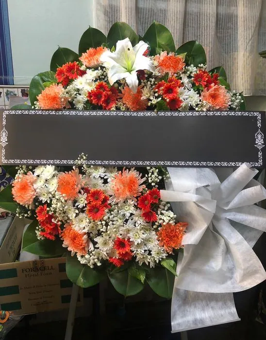 Product 488