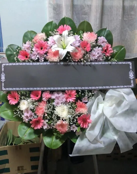 Product 486