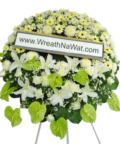 WNW ฑุลิกา