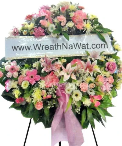 WNW ณิชา