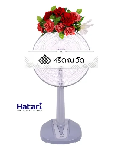 WNW นฤมล (16)