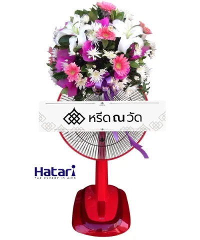 WNW คัดนางค์ (18)