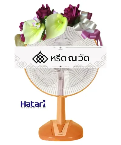 WNW รูปงาม (16)