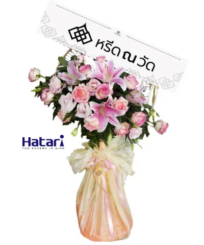 WNW ชนมน (16)