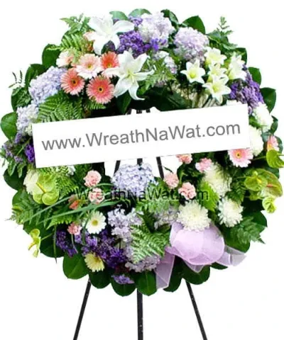 WNW นิรัตว์