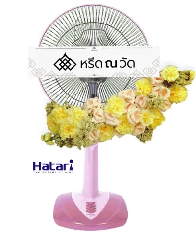 WNW ดลรักษ์ (16)