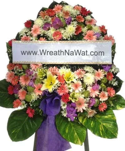 WNW ชนม์นิภา