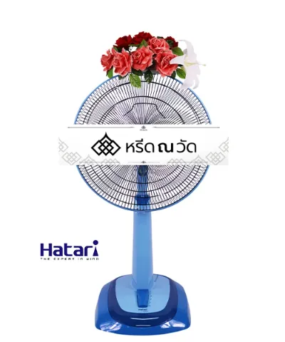 WNW นฤมล (18)
