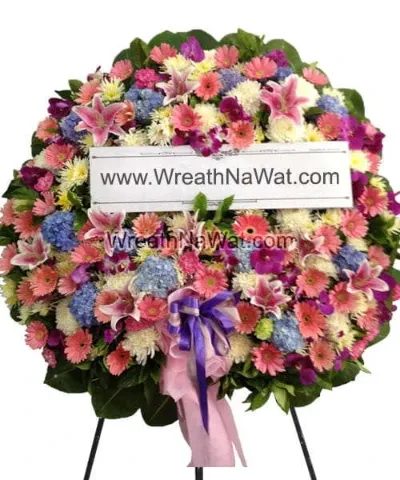 WNW นภิศ