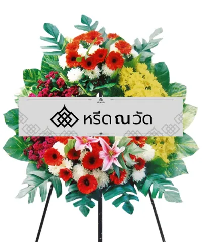 WNW กชนิภา