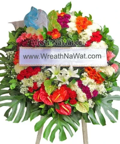 WNW กมนีย์