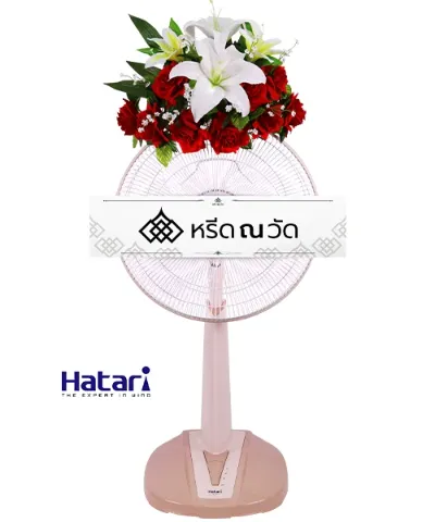WNW นลินนิภา (16)