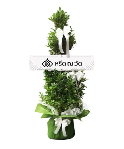 พวงหรีดต้นไม้สื่อความอาลัย