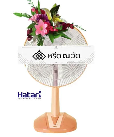 WNW งามลักษณ์ (16)