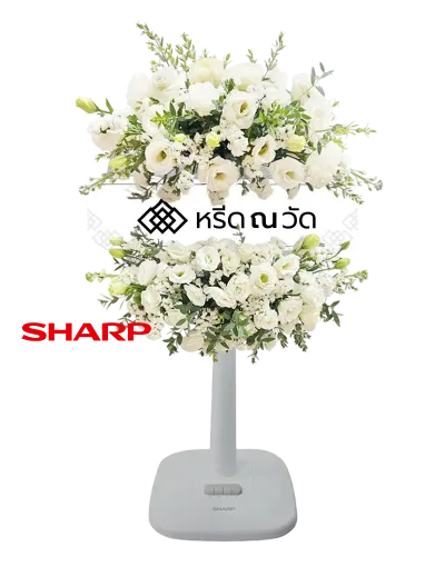 B539-1 พวงหรีดพัดลมสไลด์ วิชนี 05 ขนาด 16 นิ้ว ประดับดอกไม้สดโทนสีขาวเต็มหน้าปัดพัดลม ด้วยดอกไลเซนทัสขาว สแตติสขาวฯ