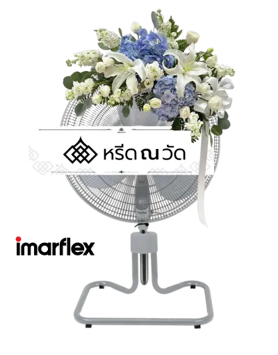 B702 WNW วายุตา 02