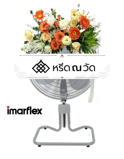 B711 WNW วายุตา 11