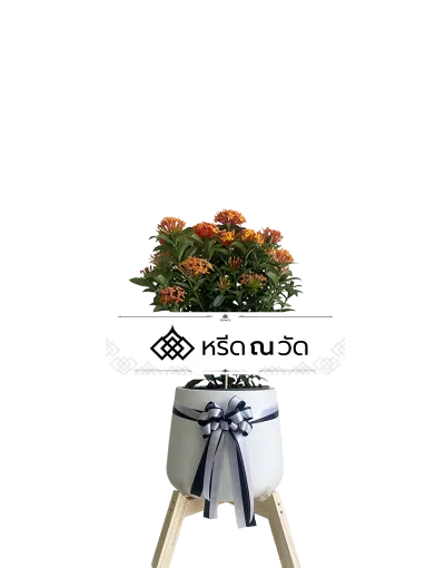 D037 WNW เข็มส้มอาวรณ์