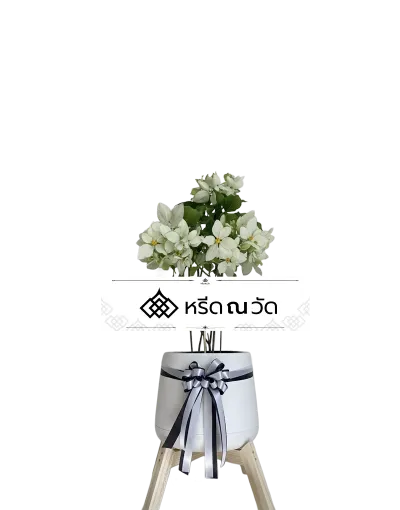 D040 WNW ดอนญ่ารำลึก