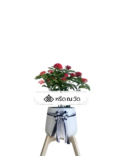 D038 WNW เข็มแดงรำลึก