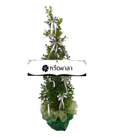 1509 WRE ไทรเพชรอาลัยรัก 1