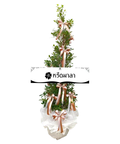1510 WRE ไทรเพชรอาลัยรัก 2